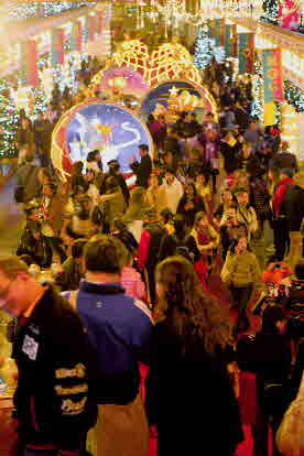 IMG_2013_12_12_72776 final-LR 6X4cm