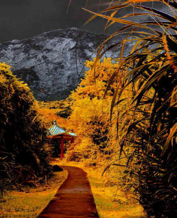 IMG_49721 final-lr-lr2